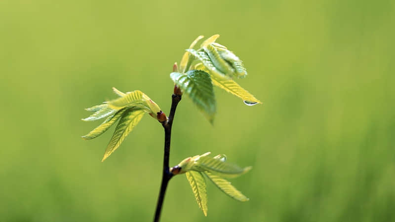 ��??2?2?/??.??�����ô�ֵĳ�Ϧ�����İ���