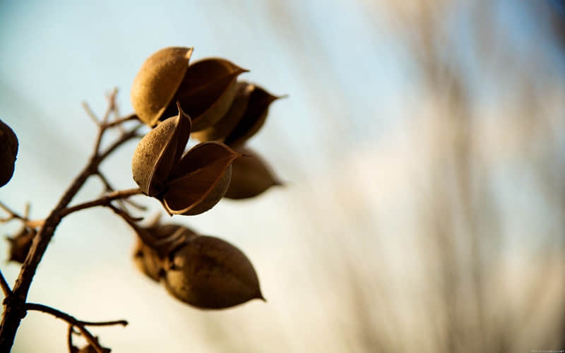 “??2?2?/??.??不会烂大街的除夕跨年文案”_wishdown.com “??2?2?/??.??不会烂大街的除夕跨年文案”_wishdown.com