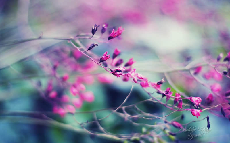 “大年初一拜年文案这么发,比只说‘新年快乐’强100倍!”_wishdown.com “大年初一拜年文案这么发,比只说‘新年快乐’强100倍!”_wishdown.com