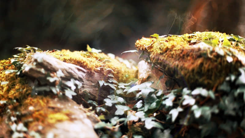 “????????春节????:???? ????发圈文案”??ˋ???ˊ?_wishdown.com “????????春节????:???? ????发圈文案”??ˋ???ˊ?_wishdown.com