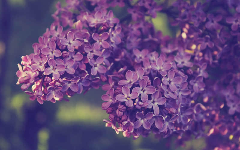 "大年初一马年拜年祝福文案这么发,高级有品味"_wishdown.com "大年初一马年拜年祝福文案这么发,高级有品味"_wishdown.com