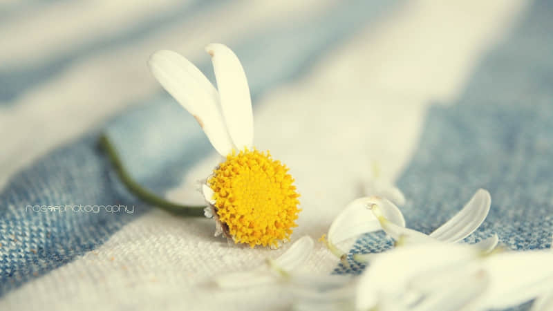 "大年初一马年拜年祝福文案这么发,高级有品味"_wishdown.com "大年初一马年拜年祝福文案这么发,高级有品味"_wishdown.com