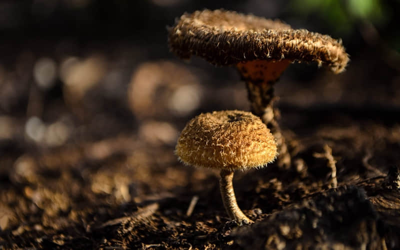 “2?2?/??.????大年初一拜年,朋友圈就这样发”_wishdown.com “2?2?/??.????大年初一拜年,朋友圈就这样发”_wishdown.com