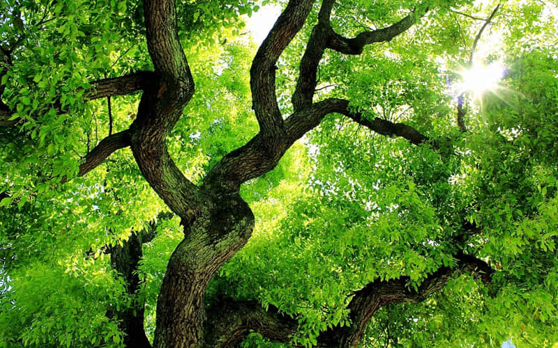 �������İ����߼�һ����ô˵��