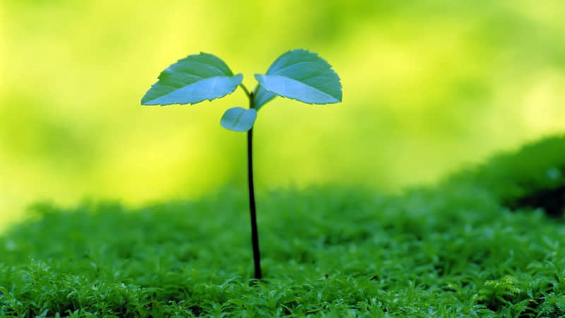 ��2?2?/??.???? ��һ���Ĵ����һ�簲����Ȧ�İ������������ʫƪ����Яϣ�����������⣬����˳�ġ�