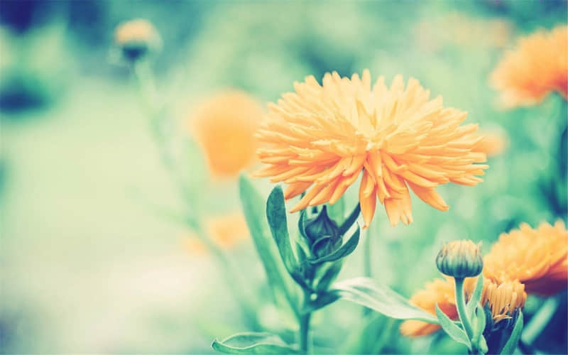 “ 句句黑到极致,字字亮到刺眼 ”_wishdown.com “ 句句黑到极致,字字亮到刺眼 ”_wishdown.com