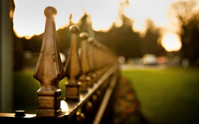 “????2026大年初一朋友圈发的拜年文案,高级感拉满”_wishdown.com “????2026大年初一朋友圈发的拜年文案,高级感拉满”_wishdown.com