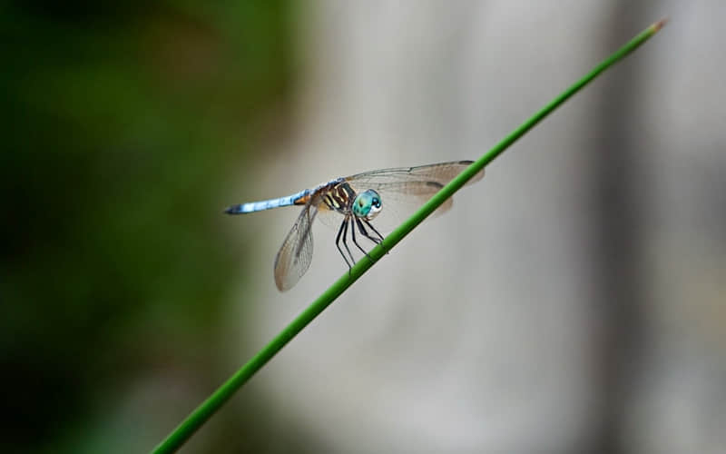 “????2026大年初一朋友圈发的拜年文案,高级感拉满”_wishdown.com “????2026大年初一朋友圈发的拜年文案,高级感拉满”_wishdown.com