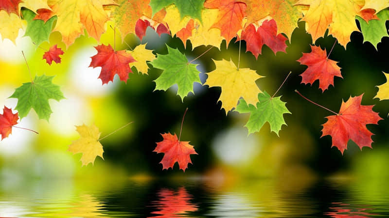 “????2026大年初一朋友圈发的拜年文案,高级感拉满”_wishdown.com “????2026大年初一朋友圈发的拜年文案,高级感拉满”_wishdown.com