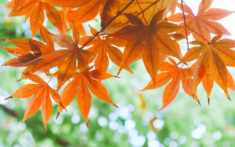 “开工第一天,朋友圈请这么发”_wishdown.com “开工第一天,朋友圈请这么发”_wishdown.com