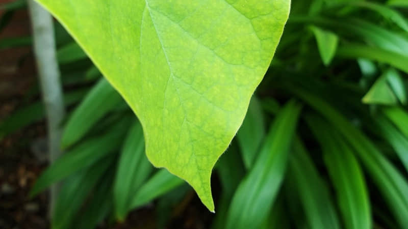 “开工第一天,朋友圈请这么发”_wishdown.com “开工第一天,朋友圈请这么发”_wishdown.com