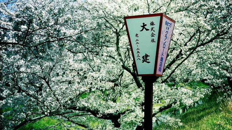 “??2?2?/??.??初八开工文案,开工大吉??一切向钱看??向厚赚?人人都爱看??”_wishdown.com “??2?2?/??.??初八开工文案,开工大吉??一切向钱看??向厚赚?人人都爱看??”_wishdown.com