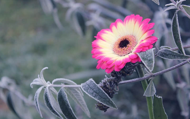 “??2?2?/??.??初八开工文案,开工大吉??一切向钱看??向厚赚?人人都爱看??”_wishdown.com “??2?2?/??.??初八开工文案,开工大吉??一切向钱看??向厚赚?人人都爱看??”_wishdown.com