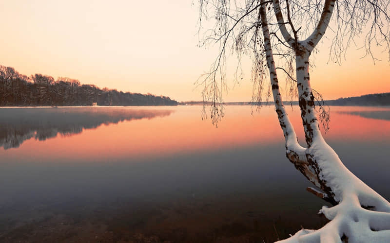 “2026,致老己的8句话”_wishdown.com “2026,致老己的8句话”_wishdown.com