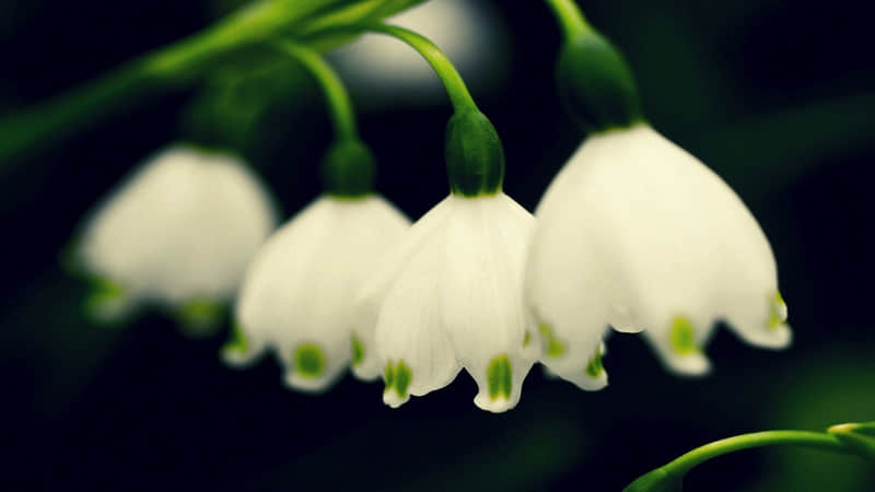 “2026,致老己的8句话”_wishdown.com “2026,致老己的8句话”_wishdown.com