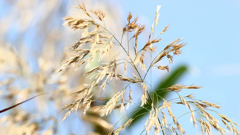 “嘴甜话术~男人很爱吃这一套~”_wishdown.com “嘴甜话术~男人很爱吃这一套~”_wishdown.com