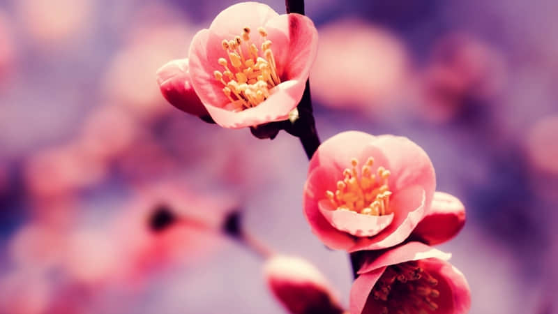 ����һ�䣬��ȥ��һ�������ˣ���ը����