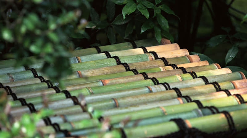 胡说八道的快乐文案 嘎嘎搞笑_wishdown.com 胡说八道的快乐文案 嘎嘎搞笑_wishdown.com