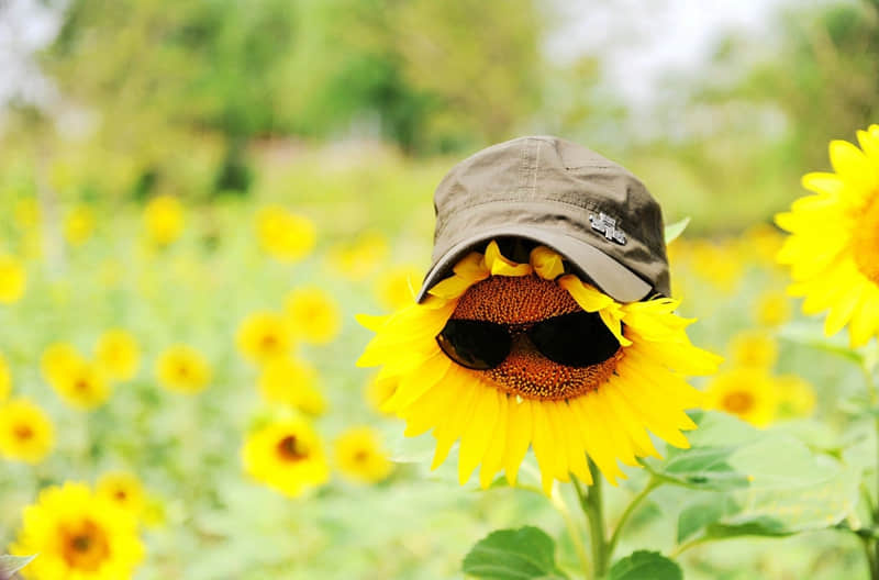 “成年人,发的朋友圈~ "_wishdown.com “成年人,发的朋友圈~ "_wishdown.com