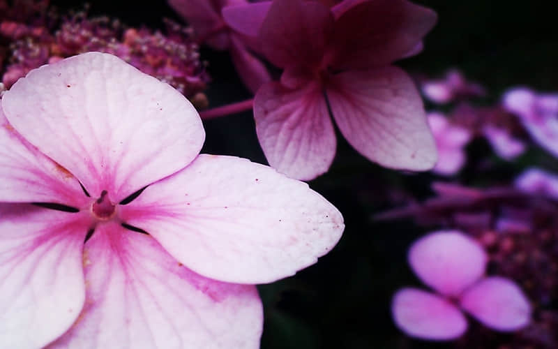 “一句话,让某人感觉要失去你”_wishdown.com “一句话,让某人感觉要失去你”_wishdown.com