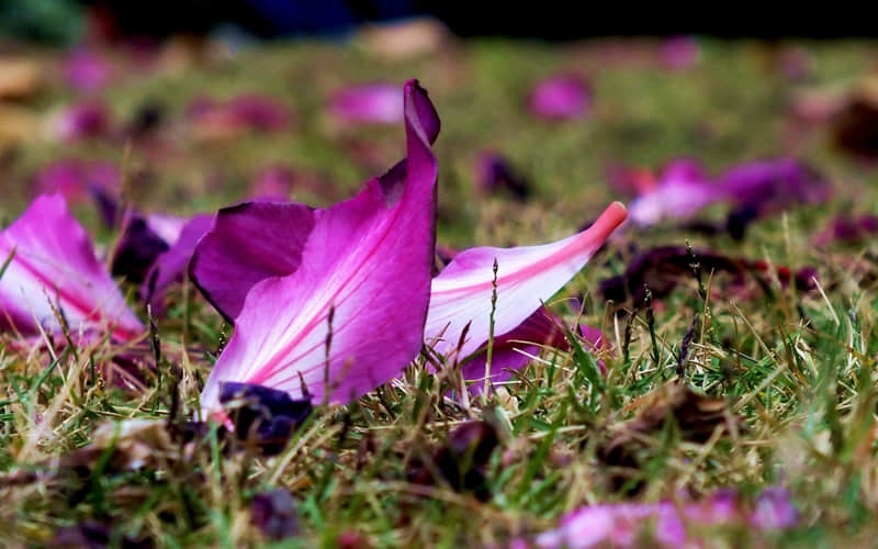 “句句都不黄,句句都很撩”?????????_wishdown.com “句句都不黄,句句都很撩”?????????_wishdown.com