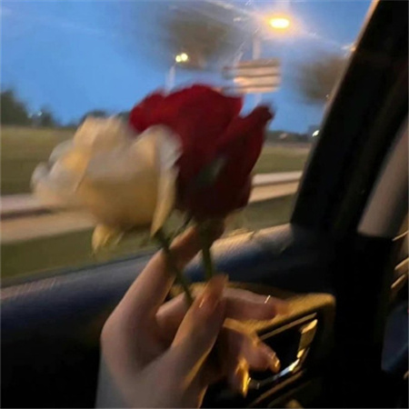 ����ʫ�Ɐ������������(��ѡ100��)