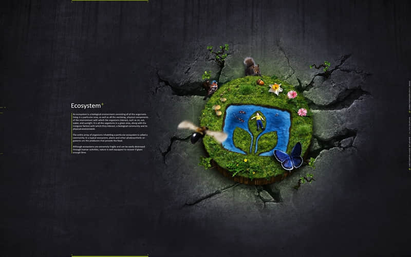 “牛马们,偷一句复工文案去发朋友圈”_wishdown.com “牛马们,偷一句复工文案去发朋友圈”_wishdown.com