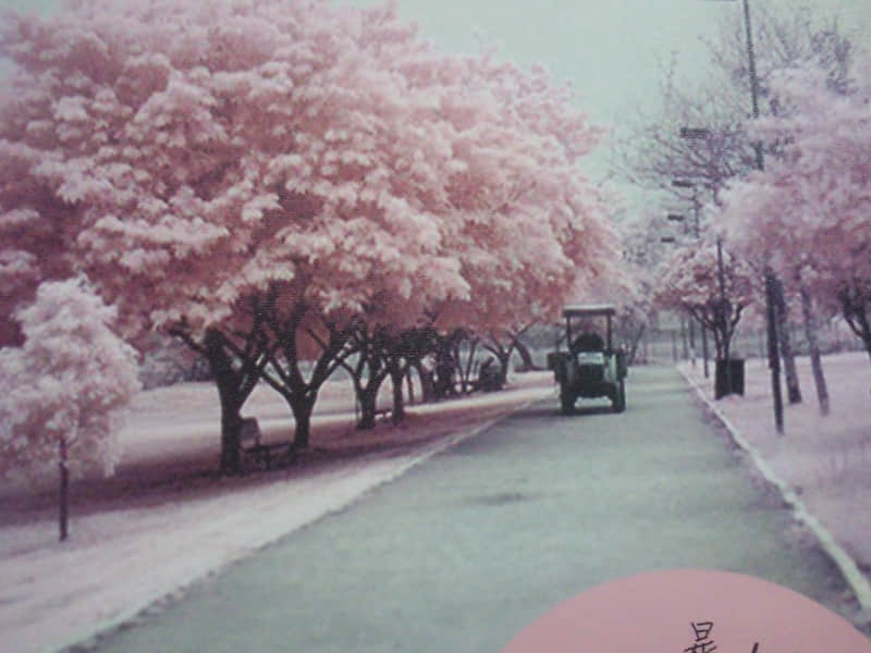 朋友圈故意这么发,让对方感觉要失去你_wishdown.com 朋友圈故意这么发,让对方感觉要失去你_wishdown.com