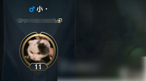 lol��������һ������ôŪ �������