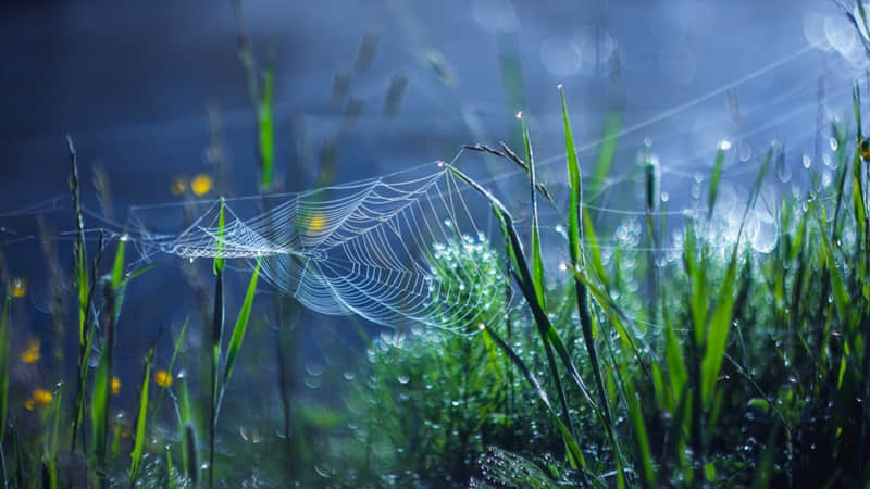 “发一句,他若爱你立马崩了?????”_wishdown.com “发一句,他若爱你立马崩了?????”_wishdown.com