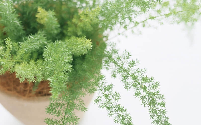 “发一句,他若爱你立马崩了?????”_wishdown.com “发一句,他若爱你立马崩了?????”_wishdown.com