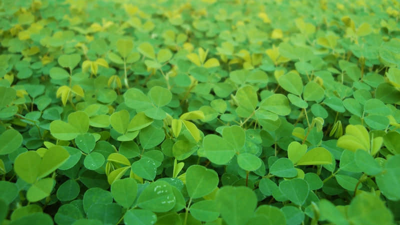 ��һ��Ů�ˣ�����10��ϰ�ߣ�˵�����ܴ��������򵥡�