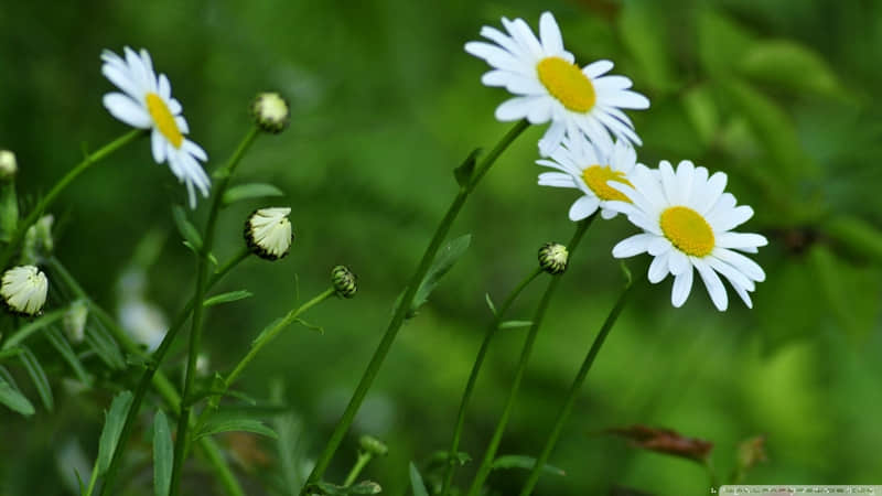 “拿去,你就这样发圈,谁看了都想点赞~”_wishdown.com “拿去,你就这样发圈,谁看了都想点赞~”_wishdown.com