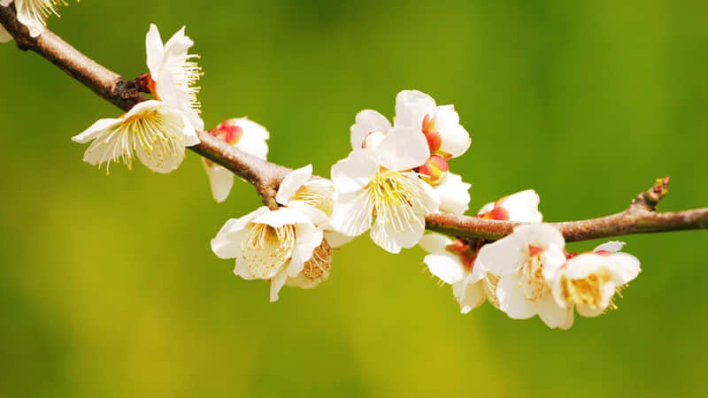 "偷一条,笑得乳腺都通畅了"_wishdown.com "偷一条,笑得乳腺都通畅了"_wishdown.com