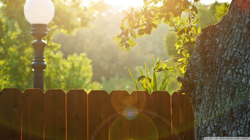 "偷一条,笑得乳腺都通畅了"_wishdown.com "偷一条,笑得乳腺都通畅了"_wishdown.com