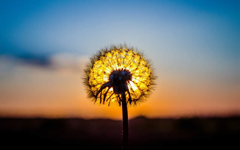 ������󷽵��㣬����Ȧ��������~~��