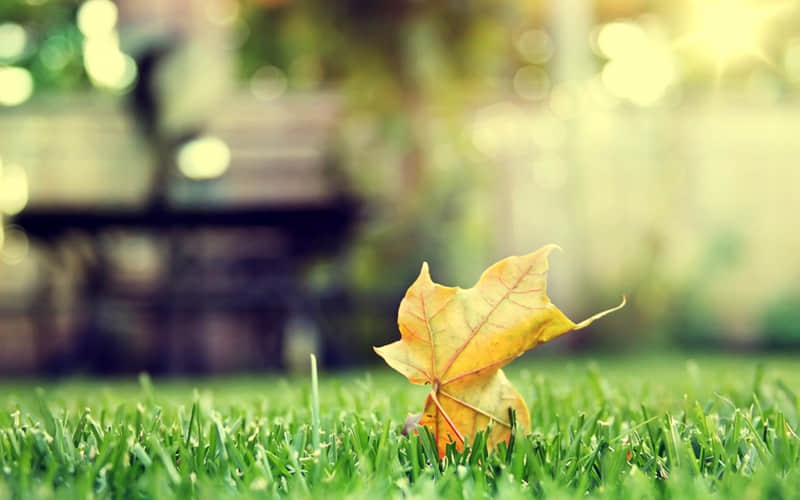 �������� ��ί�� ���İ���