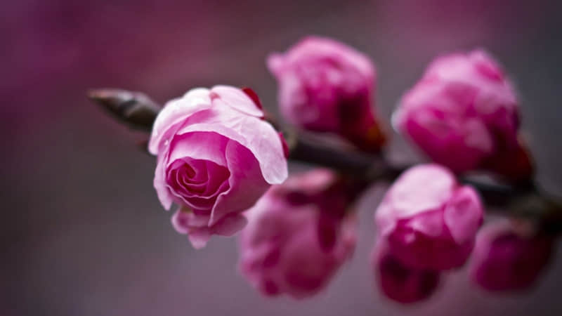 “申请填加好友时用的爆笑句子??”_wishdown.com “申请填加好友时用的爆笑句子??”_wishdown.com