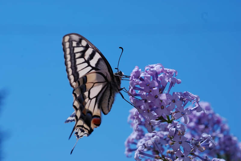 “成年人不敢发的朋友圈,句句现实”_wishdown.com “成年人不敢发的朋友圈,句句现实”_wishdown.com