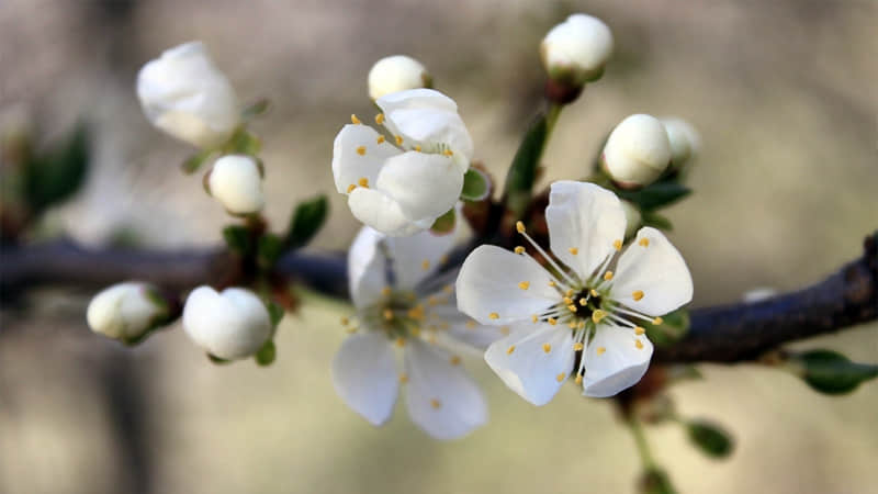 “大年十一,请发一条不一样的朋友圈”_wishdown.com “大年十一,请发一条不一样的朋友圈”_wishdown.com