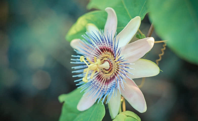 “2?2?/??.???? 一种很新的3月朋友圈”_wishdown.com “2?2?/??.???? 一种很新的3月朋友圈”_wishdown.com