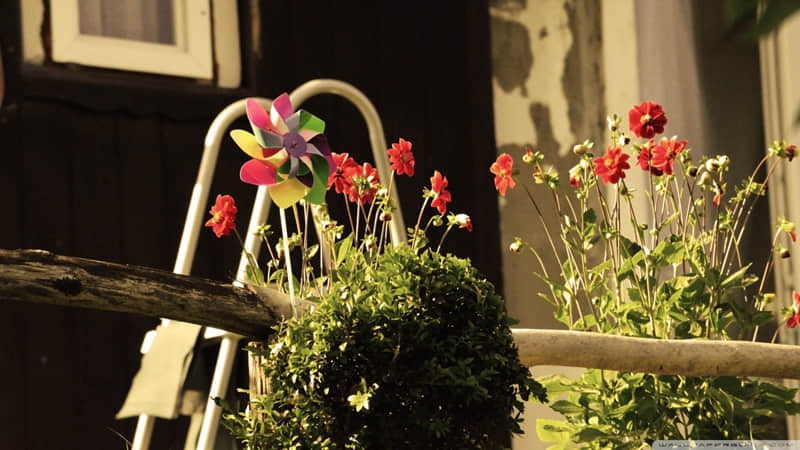 “发朋友圈被秒赞的 文案”_wishdown.com “发朋友圈被秒赞的 文案”_wishdown.com