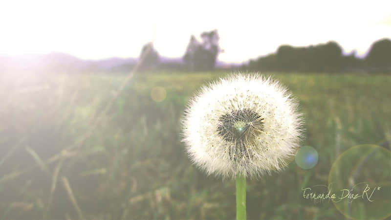“二月最后一天,朋友圈就这样发,太赞了”_wishdown.com “二月最后一天,朋友圈就这样发,太赞了”_wishdown.com