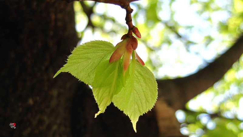 “背下来,这才是一个女人的顶级三观” ”_wishdown.com “背下来,这才是一个女人的顶级三观” ”_wishdown.com