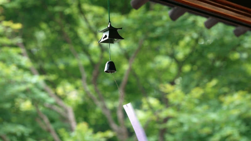 “背下来,这才是一个女人的顶级三观” ”_wishdown.com “背下来,这才是一个女人的顶级三观” ”_wishdown.com