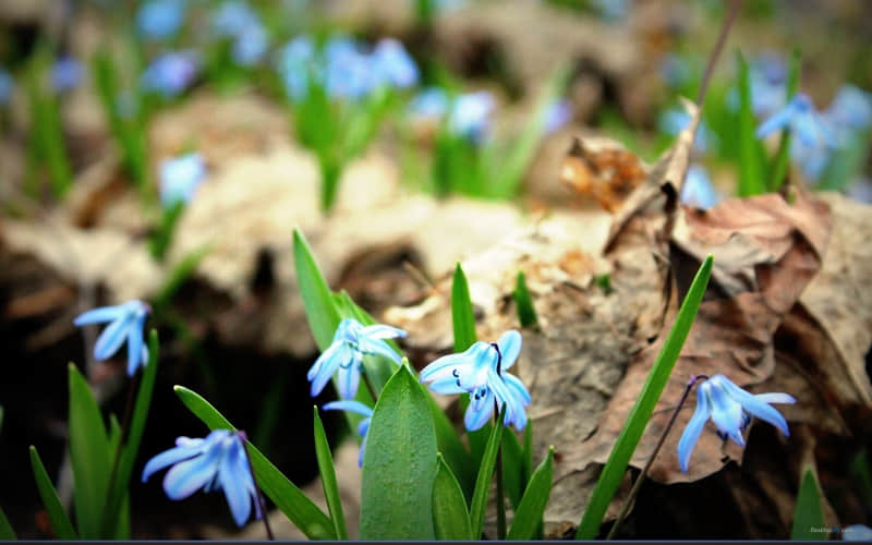 “3月1日这么发圈,让人看了爱上你”??_wishdown.com “3月1日这么发圈,让人看了爱上你”??_wishdown.com