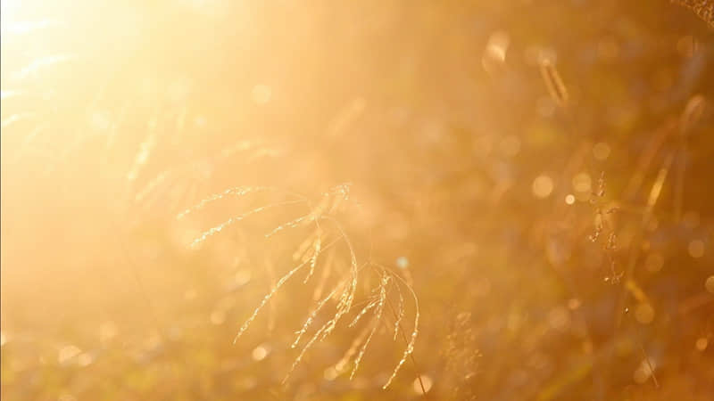 “3月1日这么发圈,让人看了爱上你”??_wishdown.com “3月1日这么发圈,让人看了爱上你”??_wishdown.com