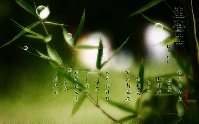 “3月的第1天,请发一条不一样的朋友圈”_wishdown.com “3月的第1天,请发一条不一样的朋友圈”_wishdown.com