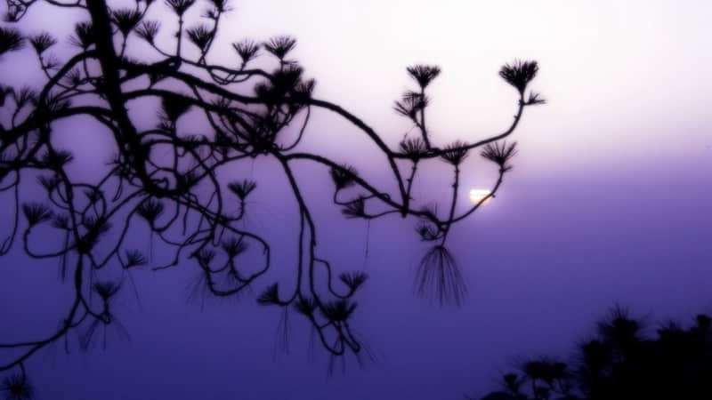 “3月的第1天,请发一条不一样的朋友圈”_wishdown.com “3月的第1天,请发一条不一样的朋友圈”_wishdown.com