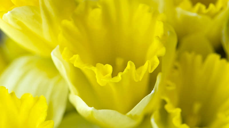 ���Լ���������һ��Ҫ���������߼��о��ˡ���